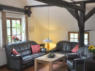 Thatchdachkate Sillenserwisch - 9