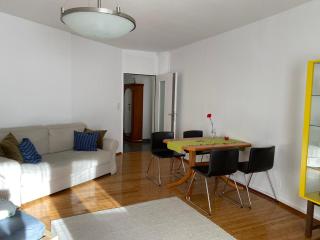 Apartment Grazbachgasse - gratis Tiefgaragenplatz - Graz - 6