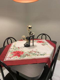 Apartamento Confortável próximo Aeroporto e Arena do Grêmio - 9