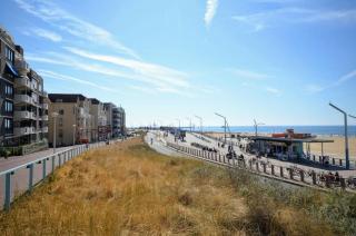 Beach House Rodine - free parking & bikes - Scheveningen - 9