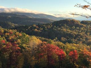 Elkhorn Rustic Blowing Rock Cabin Amazing Views - - 8