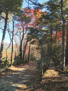 Elkhorn Rustic Blowing Rock Cabin Amazing Views - - 6