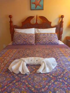 Xterra Palm Guest House - Hopkins - 3