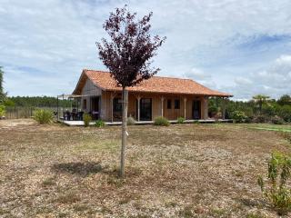 Cabane Alizée, Vensac Océan, Montalivet - Vensac - 9