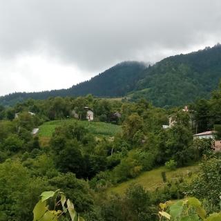 Cozy apartment - Batumi - 4