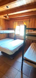Hostel Parador El Camello - Lujan de Cuyo - 4