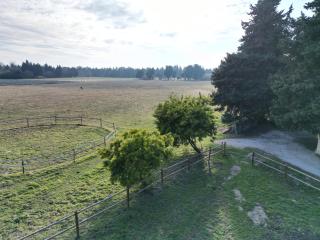 Domaine de la Grande Grange - Caderousse - 4