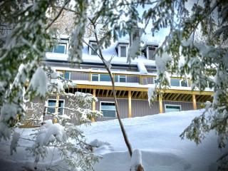 Ski Mountain Home Unit B - Stockbridge - 6