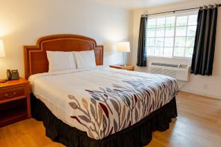 Horseshoe inn - 2