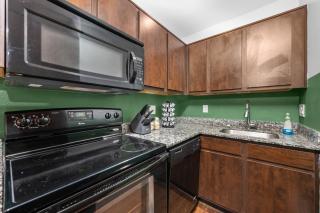 Modern Quirky Apartment Near Medical Center - Houston - 2