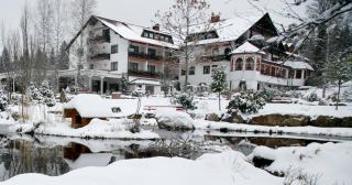 Hotel Waldblick Kniebis - Kniebis - 8