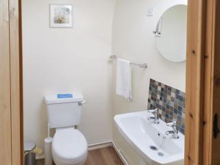 Bryn Eithin - Cottage - Moel-tryfan - 1