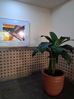 Ocean Drive Pé na Areia - 5