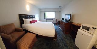 Windsor Motel - Hope - 0