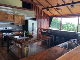 Casa Roja - Beachfront Property - Guerra - 4