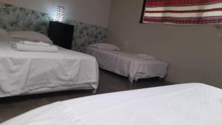 habitaciones con amplio jardin y arboles frutales en el centro Tarapoto - 3