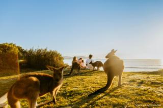 Joalah Holiday Park - Durras - 9