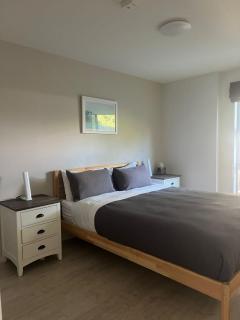 Birchtree Apartment Wanaka - 3