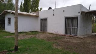 mendoza junin - 5