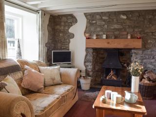 Woodlands Cottage - Freystrop - 9