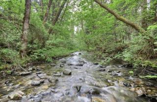 Madrone Hideout - decked out bus! - 4
