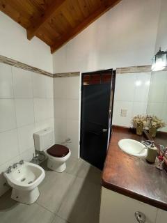 Quinta Lion - 7
