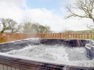 Brynhowell - Llanglydwen - 9
