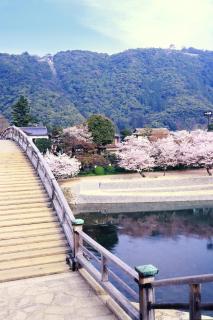 seabreezehouse 海風家 - Shunan - 8