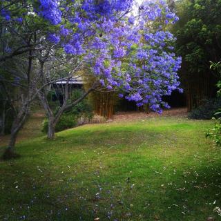 Cloudlake Mountain Retreat - 1