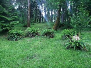 Orchard House! Recharge at Peaceful Nature Escape - 1