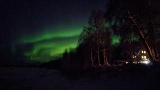 Backwoods Cabins at Susitna River Lodge - 1