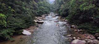 Huellas en la Selva SAS ZOMAC - Villagarzón - 8