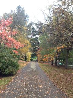 Crabtree House - Huonville - 9