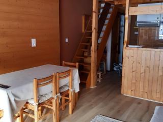 Studio Mezzanine 4 Pers, Parking, Près Centre Châtel - FR-1-676-213 - 4