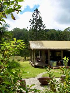 Cascade Springs - North Tumbulgum - 0