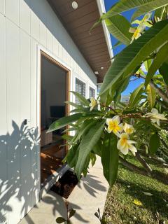 Plumeria Cottage Haven by the Beach 25mins from Sydney CBD - 7