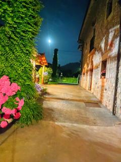 El Campo de Petra - Grado - 1