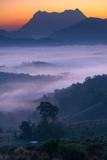 สวัสดีเมืองคองคาเฟ่ - - 1