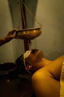 Vajra Ayurveda and Yoga Retreat - 1