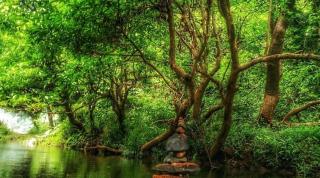 Namasthe Ayurveda and Yoga Retreat Cochin - Nedumbassery - 7