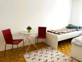 Apartment for 6 Near Schonbrunn - Vienne - 8