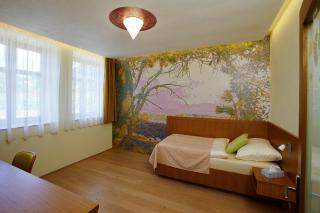 Pension Ježník - Krnov - 5