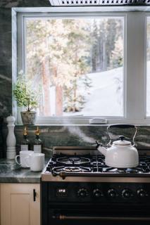 Haute Haus Aframe in Alma Colorado - 8