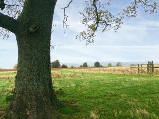 Star Yard - Tenbury Wells - 8