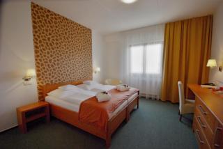 Hotel Horal - Rožnov pod Radhoštěm - 9