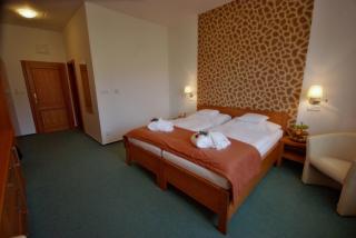 Hotel Horal - Rožnov pod Radhoštěm - 8