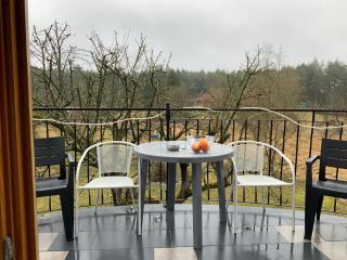 Dworek Świdwie, Górny Apartament & Harcówka - Tanowo - 7