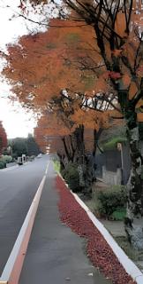 Apartamento no centro de Gramado Ile De France - 3