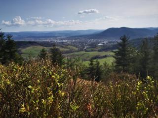 Gîte chalet paisible déconnexion totale - 6