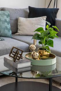 Frank Porter - Avencia 44 - Dubai - 4